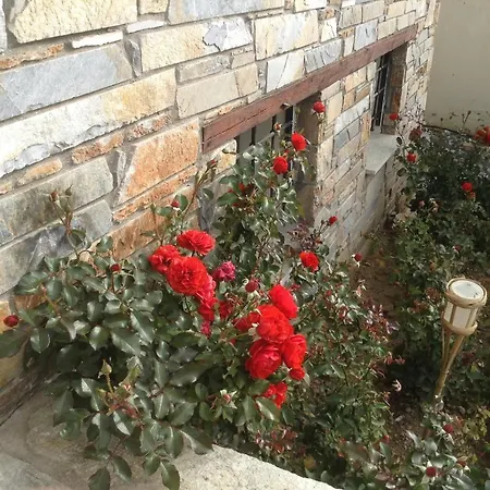 Pilion Stone House فيلة Áyios Vlásios